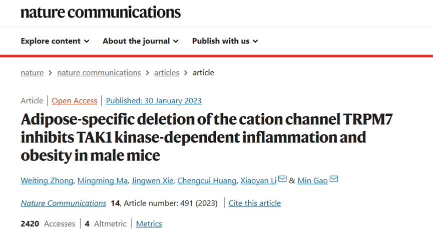 /news_details/15966867.html