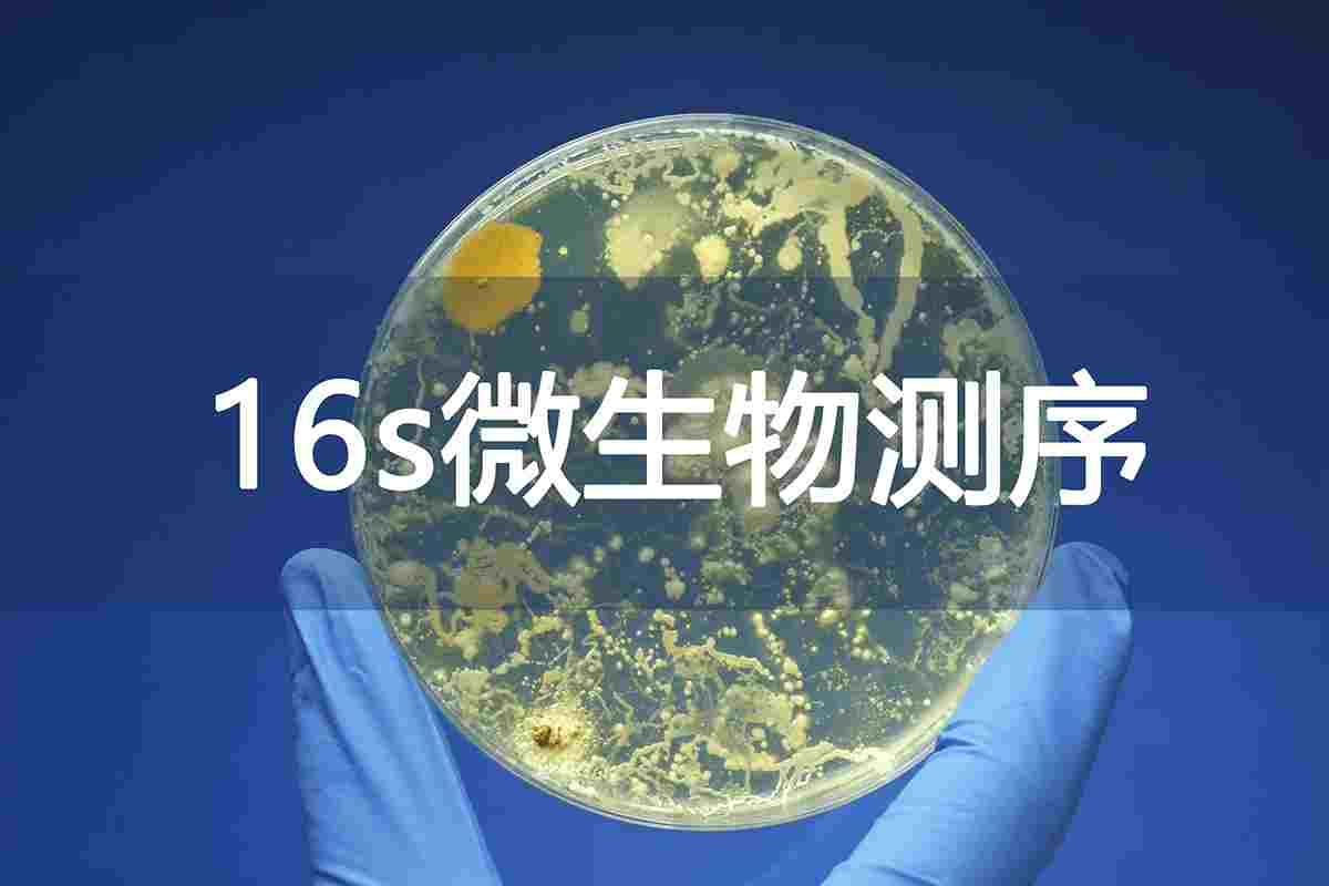 /products_details/998653431996207104.html