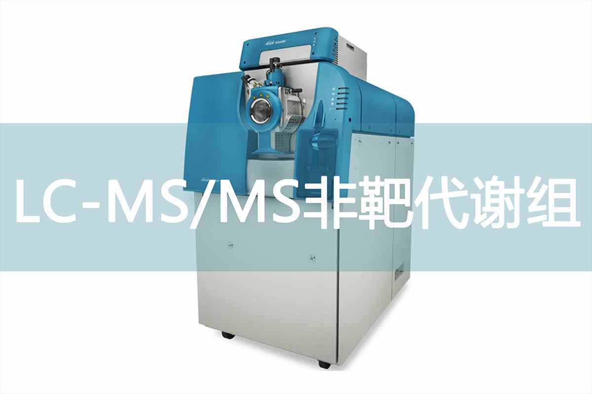 /products_details/998653431996207104.html