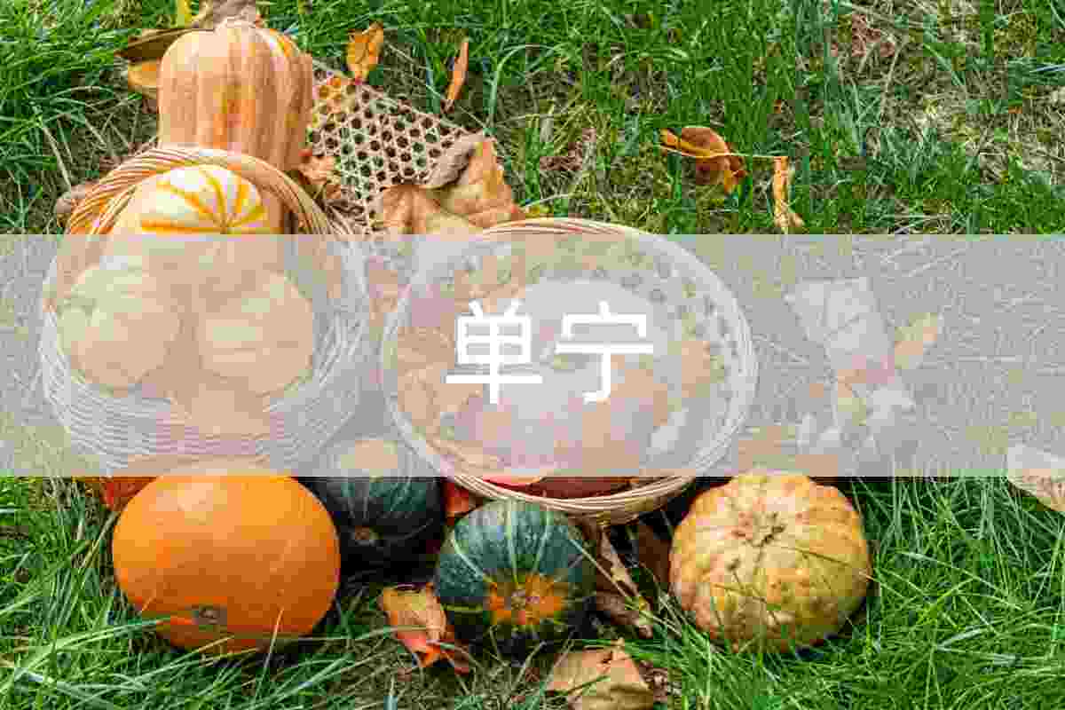 /products_details/998653431996207104.html