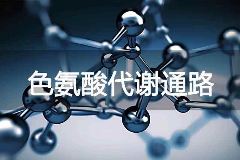 /products_details/998653431996207104.html